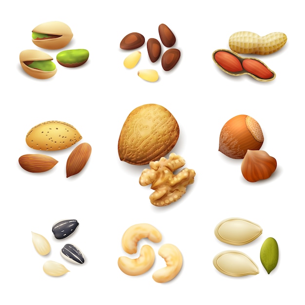 Miễn phí Vector bộ hạt thực tế