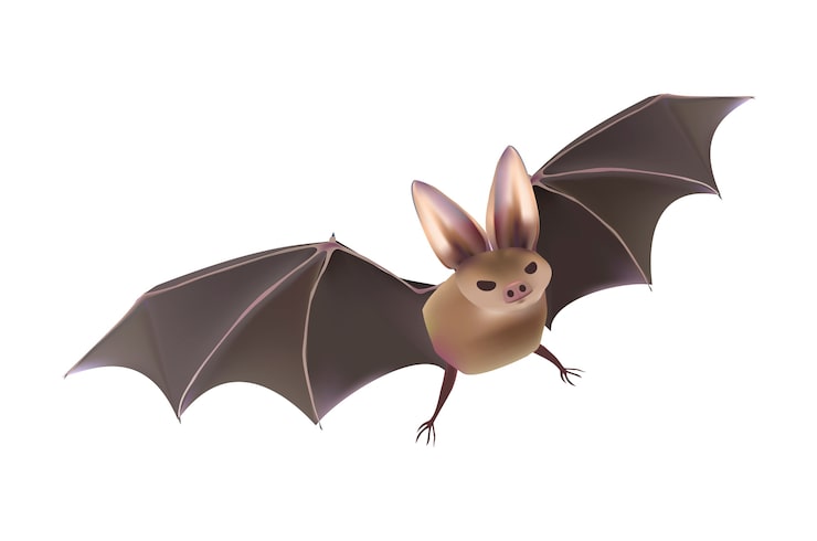 Miễn phí Vector bộ vector halloween