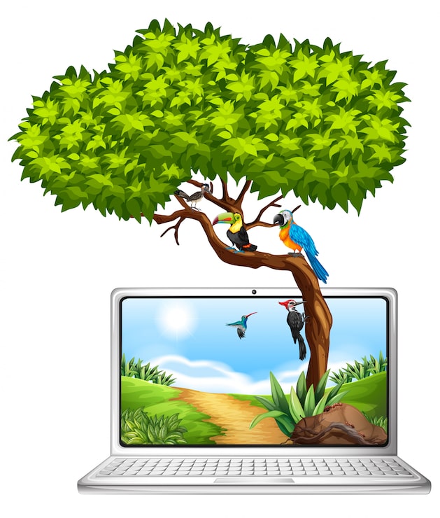 Miễn phí Vector màn hình máy tính với hình ảnh chim trên cây