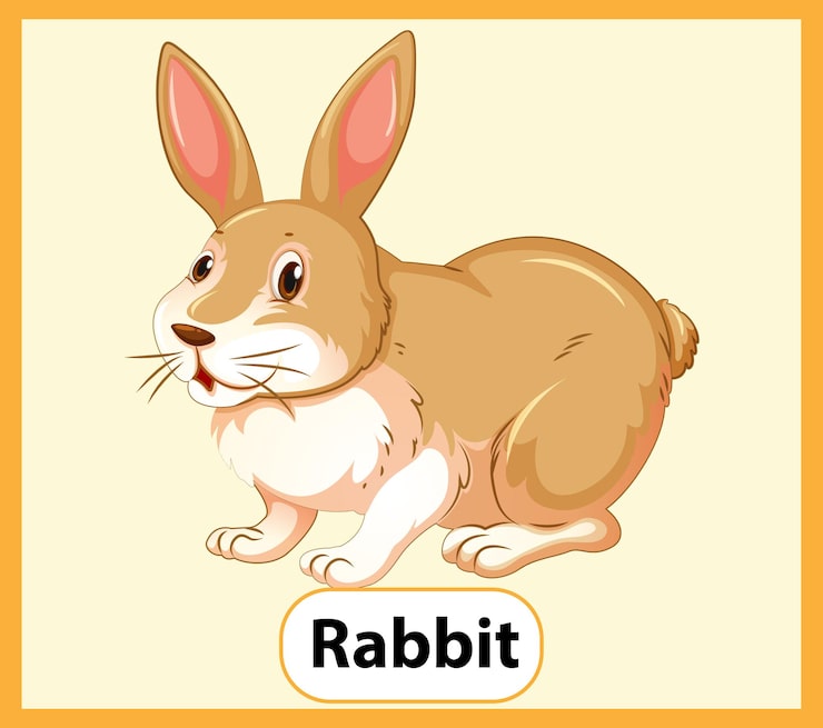 Miễn phí Vector thẻ từ vựng tiếng anh giáo dục về rabbit