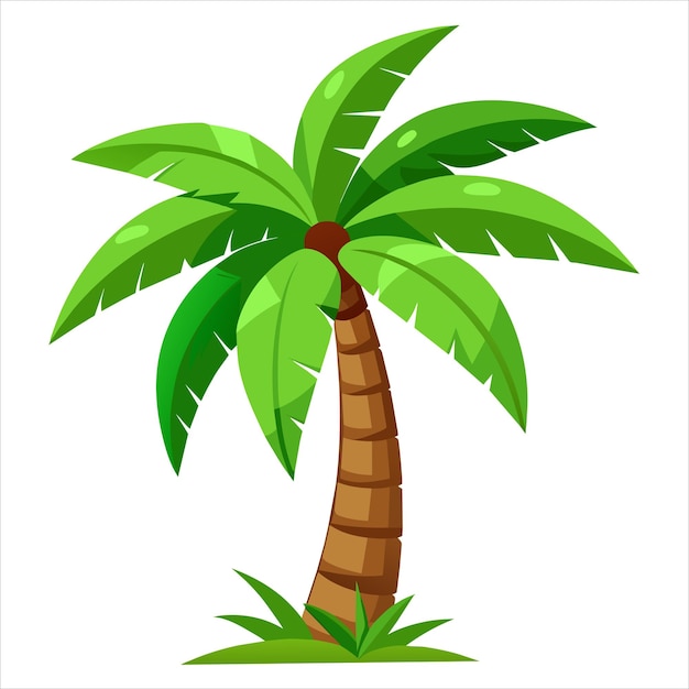 Vector árbol de coco