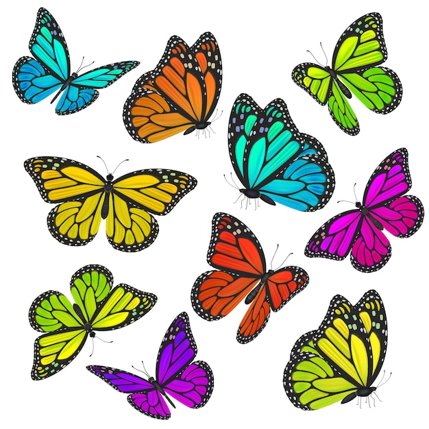 Vector colección de mariposas de colores