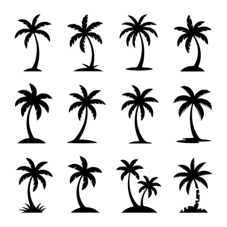 Vector colección de siluetas de palmeras para el diseño