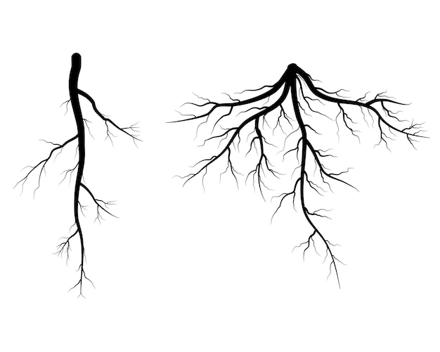 Vector conjunto de raíces de árboles negros
