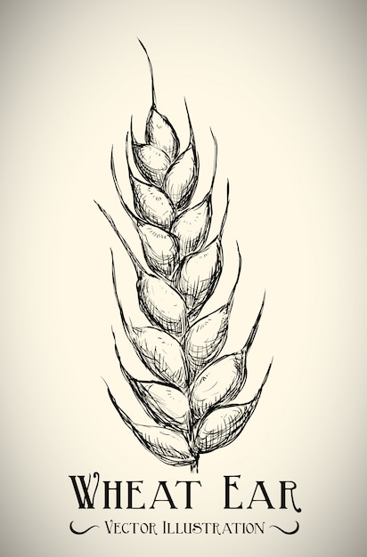 Vector diseño de panadería
