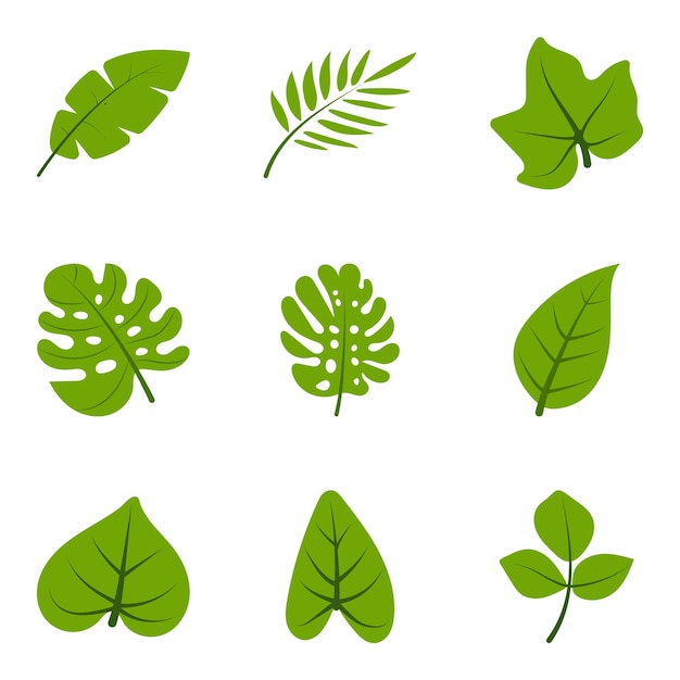 Vector elemento vectorial de hojas verdes