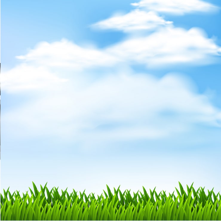 Vector escena de fondo con hierba verde y cielo azul