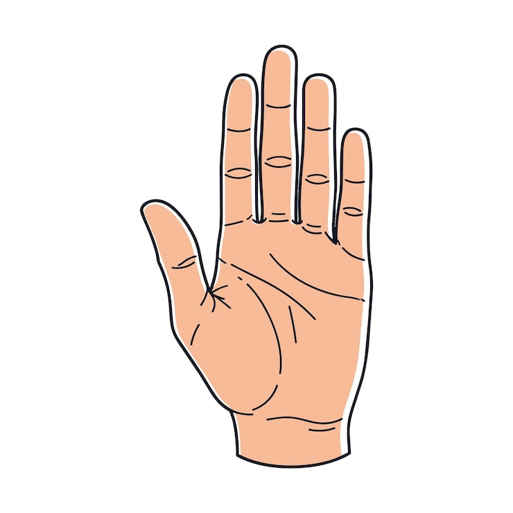 Vector ilustración de mano humana aislada haciendo el gesto de alto