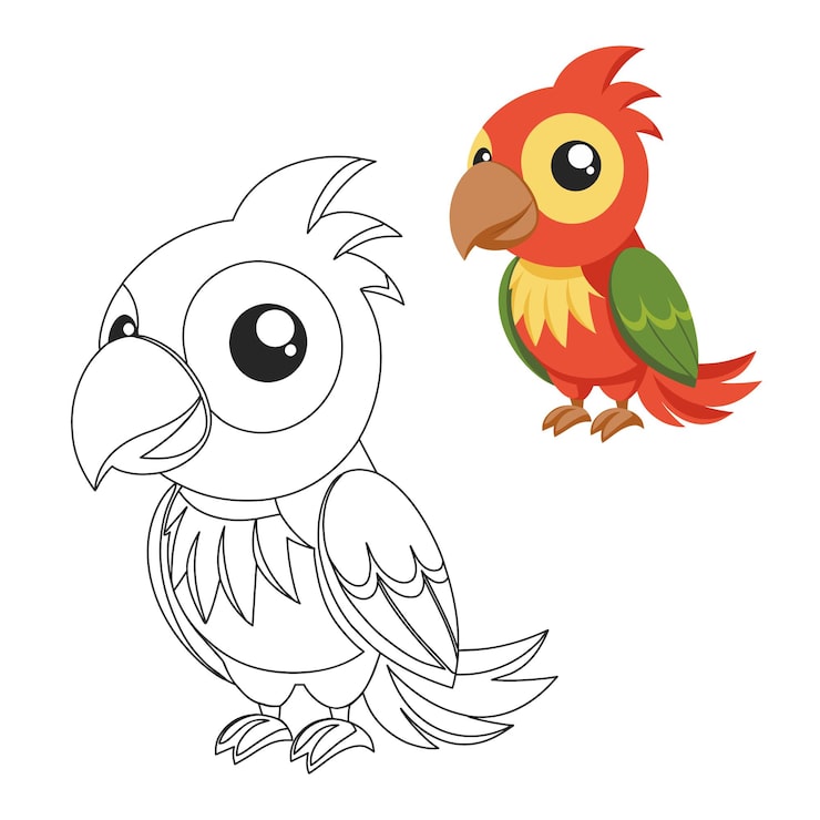 Vector lindo dibujo de contorno de loro para niños para libro de colorear e ilustración lindo pájaro de dibujos animados macaw