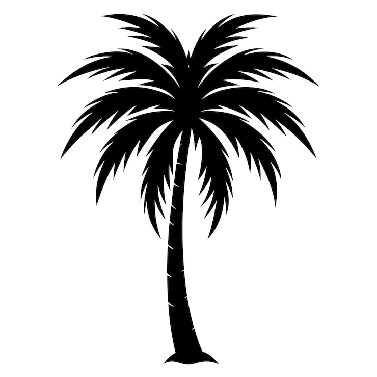 Vector una palmera se muestra en blanco y negro