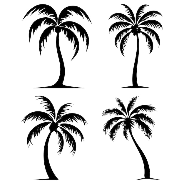 Vector silueta de vector de palmera de coco