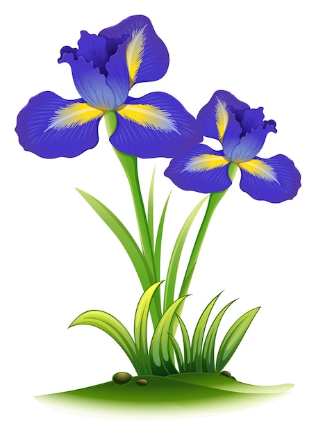 Vector Gratis bunga iris biru di semak