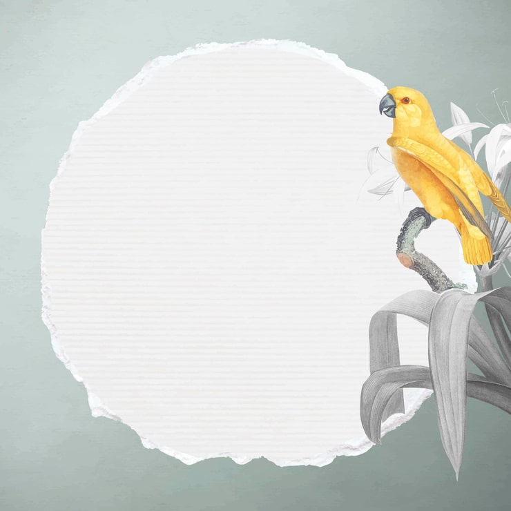 Vector Gratis burung beo senegal kuning dan bunga lili putih dengan bingkai