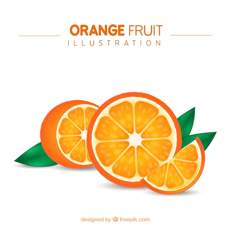 Vector Gratis ilustrasi buah jeruk