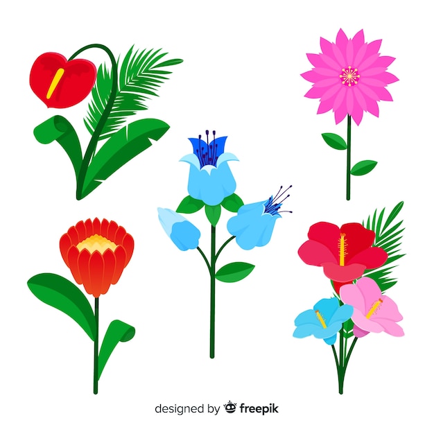 Vector Gratis koleksi bunga dan daun tropis