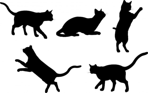 Vector Gratis kucing