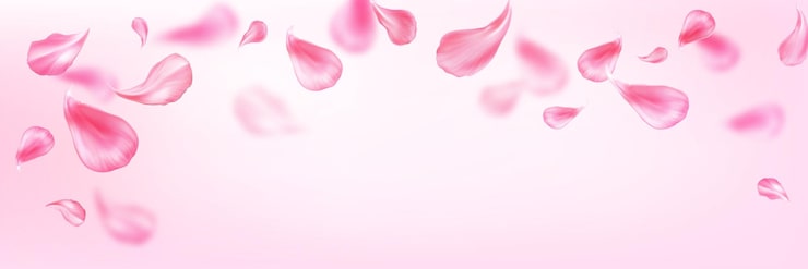 Vector Gratis pastel bg dengan kelopak bunga merah muda untuk layanan spa