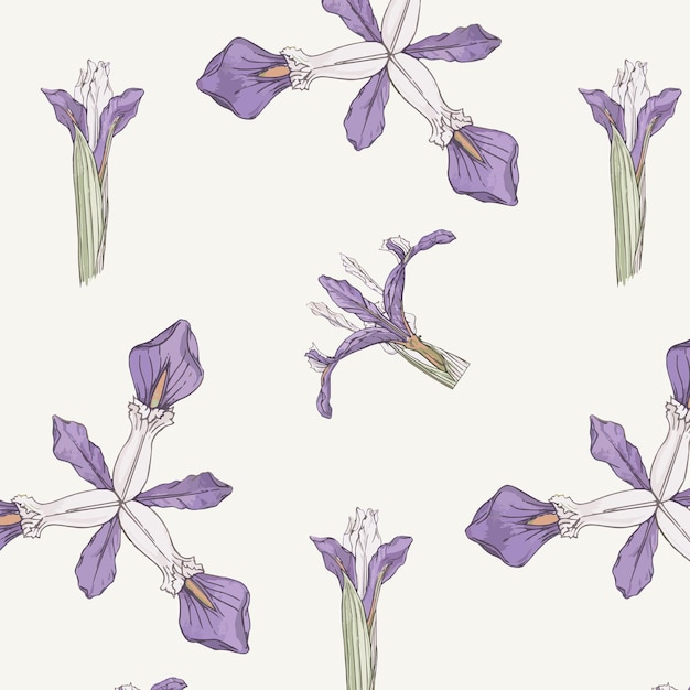 Vector Gratis pola bunga iris