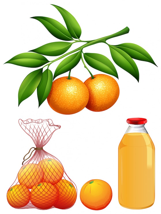 Vector Gratis satu set jeruk segar dan jus