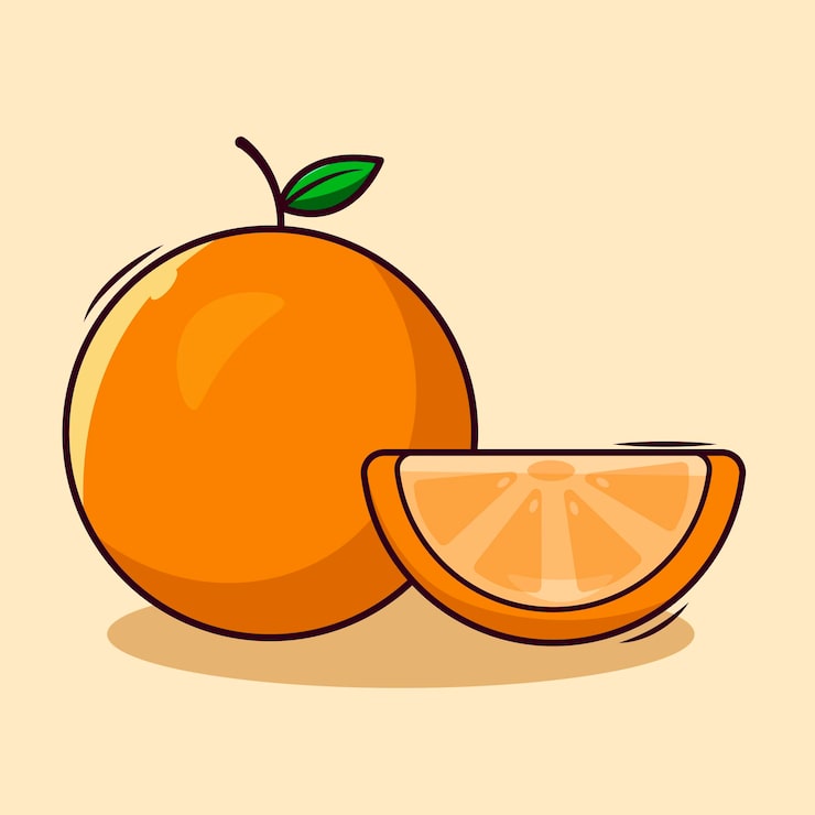 Vector buah jeruk. jeruk yang disegmentasikan dengan latar belakang putih.