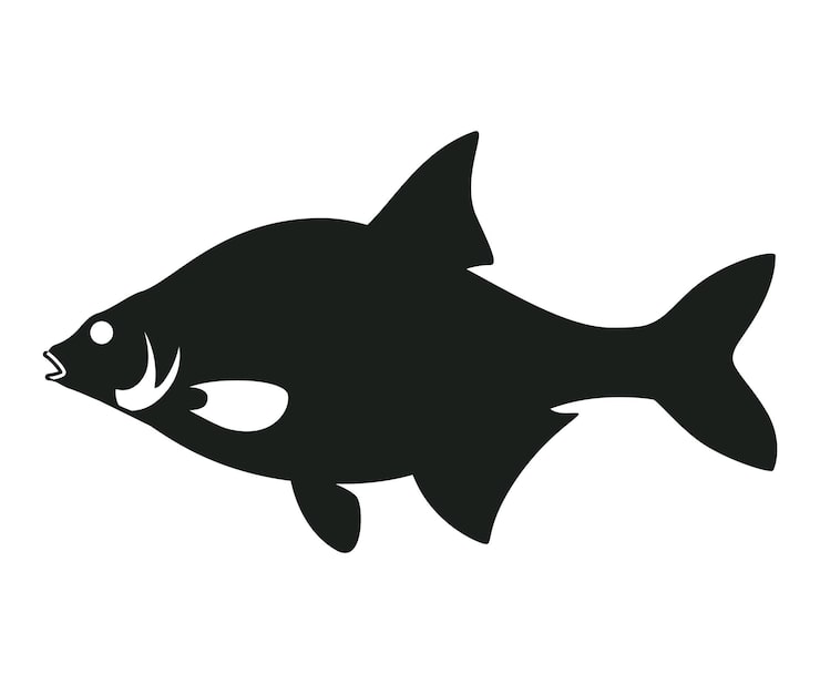 Vector siluet ikan