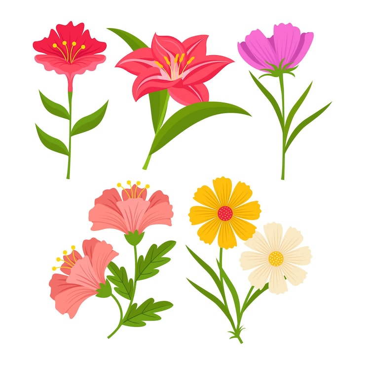 Kostenlose Vektor frühlingsblumen-sammlung