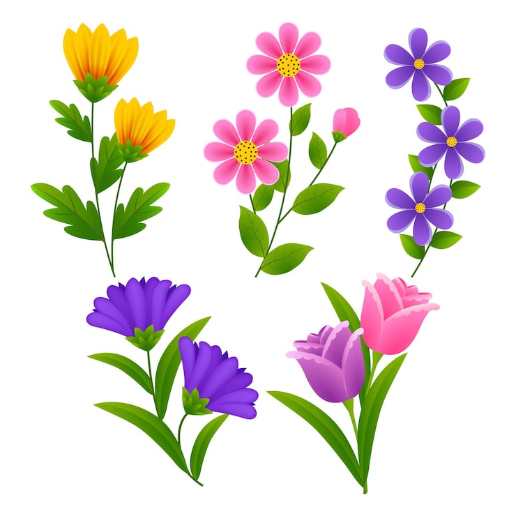 Kostenlose Vektor frühlingsblumen-sammlung