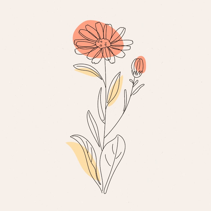 Kostenlose Vektor handgezeichnete einfache blumenumriss-illustration