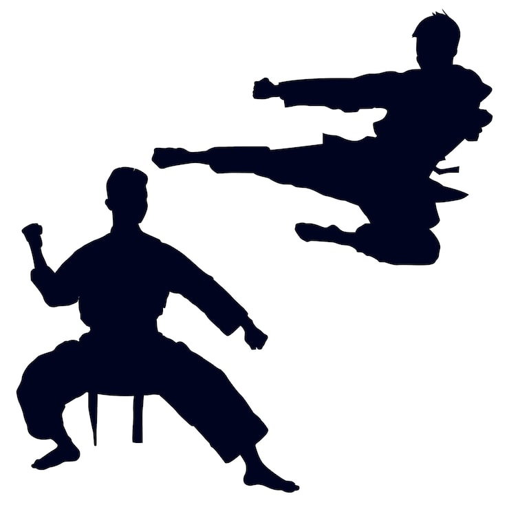 Kostenlose Vektor handgezeichnete karate-silhouette-illustration