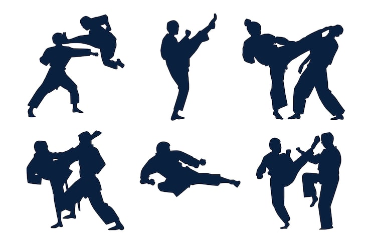 Kostenlose Vektor handgezeichnetes karate-silhouette-set