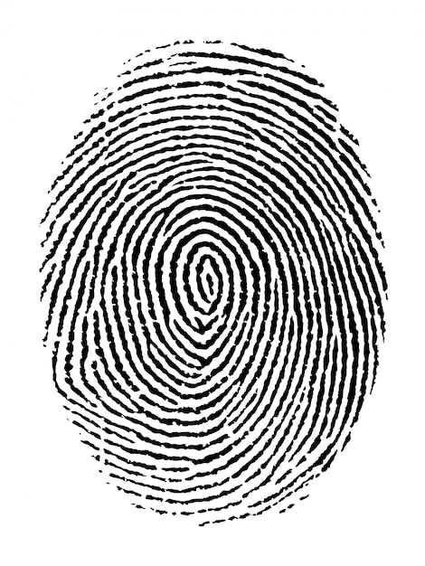 Vektor fingerabdruck