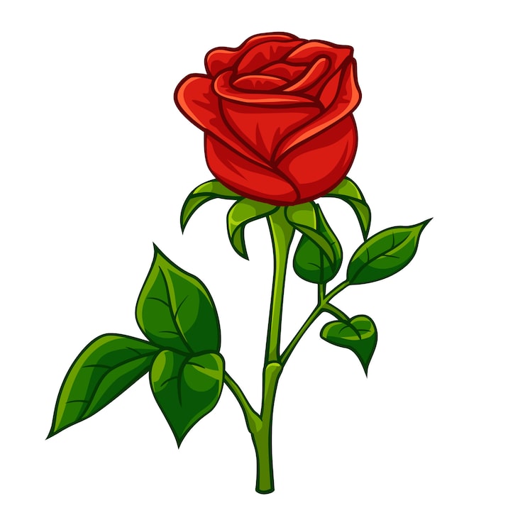 Vektor rote rose cartoon-stil