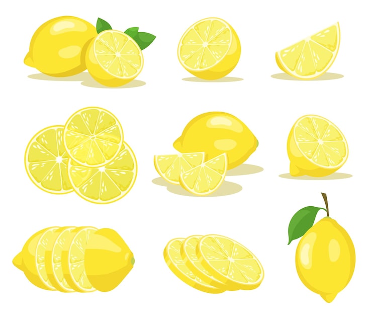 Zdarma Vektor sada ilustrací plátků citronu