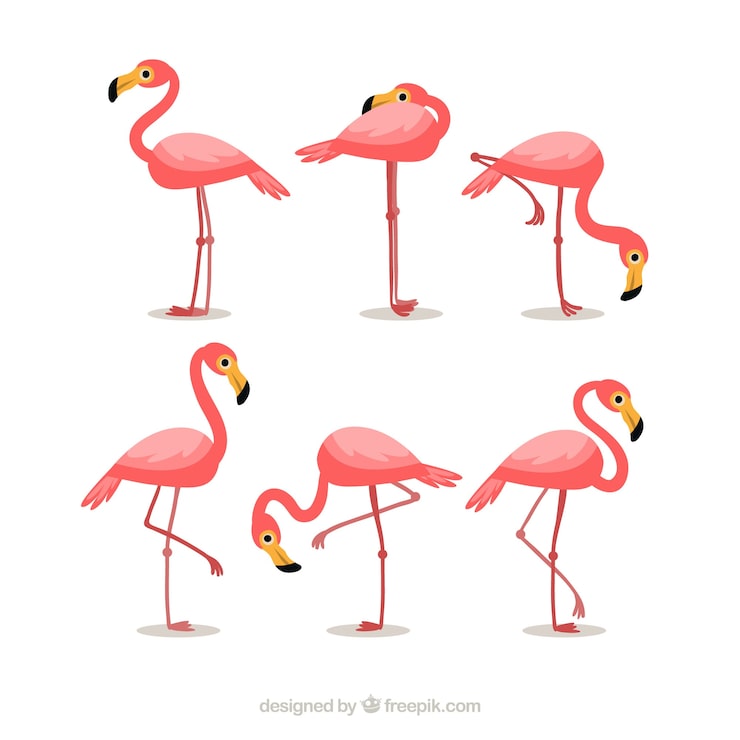 Vetor grátis coleção de flamingos com diferentes posturas em estilo simples