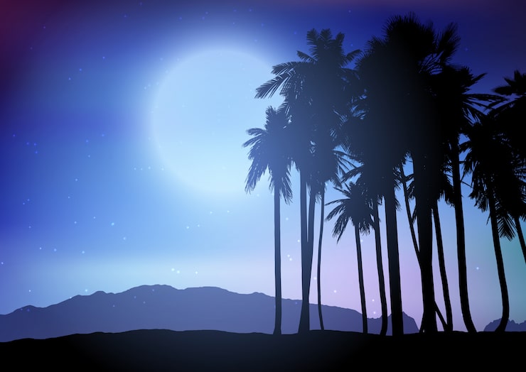 Vetor grátis palmeira paisagem à noite