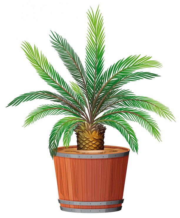 Vetor grátis uma planta crescendo em pote
