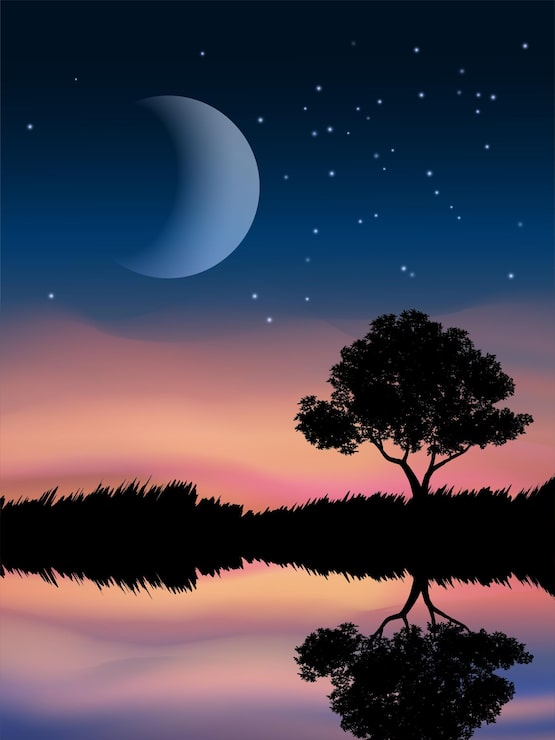 Vetor bela vista noturna com o lago e a lua