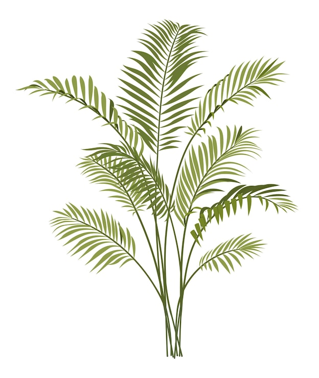 Vetor ícone de planta tropical