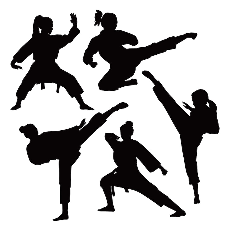 Vettore gratuito insieme della siluetta di karate design piatto