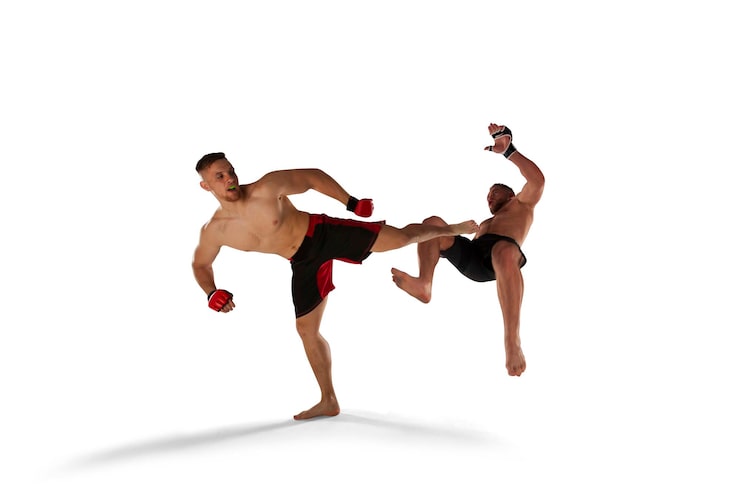 Gratis Foto mma-vechters op witte achtergrond