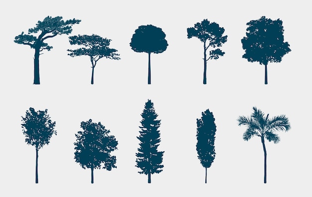 Gratis Vector boom set