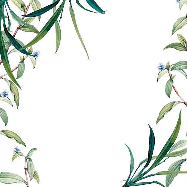 Gratis Vector groen botanisch bladerenontwerp als achtergrond