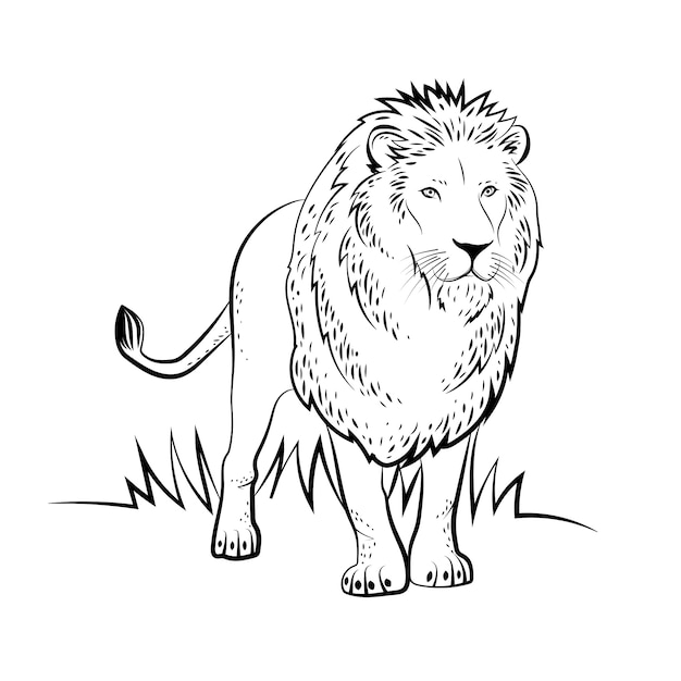 Gratis Vector handgetekende leeuwillustratie