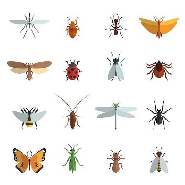 Gratis Vector insect icon flat