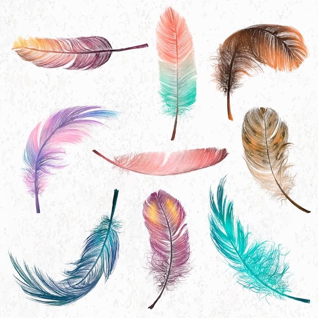 Gratis Vector kleurrijke veerelement vector set