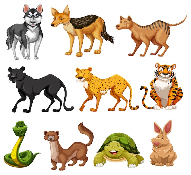 Gratis Vector set van dieren karakter