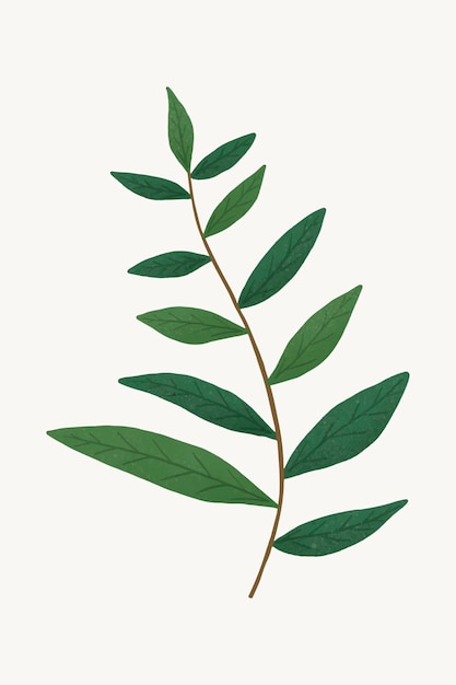 Gratis Vector tak met groene bladeren ontwerpelement