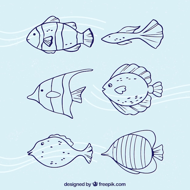 Gratis Vector verzameling van vis in doodle stijl